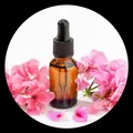 OUR_SPECIALTY_SKINCARE_OILS__Aabha Internaational
