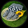 OUR_COLLECTIONS_TOWEL__Boria Bistar