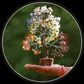 BRAND_CATEGORY_CRYSTAL_TREE__Astrosol