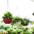 FRESH_PICKS_HANGING_PLANTER__Coir Garden