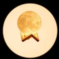 BRAND_CATEGORY_LAMPS__CustomTouch
