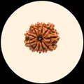 BRAND_CATEGORY_RUDRAKSHA__RudraGram