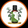 OUR_COLLECTIONS_TOP_SELLING__Urbanorganics