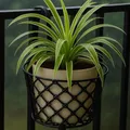 OUR_COLLECTIONS_PLANTER_STAND__The Arabian  Cottage