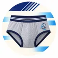 SHOP_BY_CATEGORY_BOYS_BRIEFS__Red Rose India
