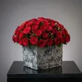 OUR_CATEGORY__Decor_Products__DESIGN DYNAMICS