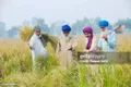 BOOKS_COLLECTION_PUNJAB_HISTORY_BOOKS__ONLINE KITAB GHAR