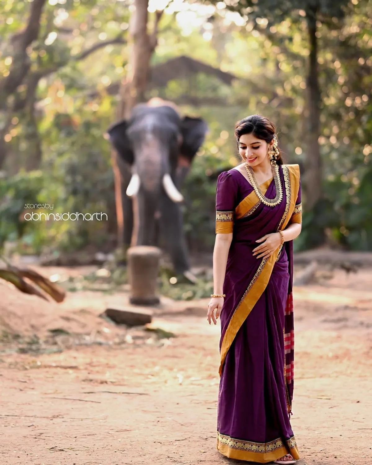 Magenta Single Elephant Narayanpet Pure Handloom Cotton saree with Running blouse piece