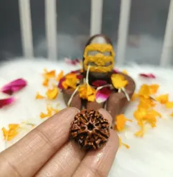 CATEGORY_RUDHAKSH__SHREE SHAMBU GEMS