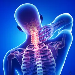 CATEGORY_NECK_PAIN__ZAIKO