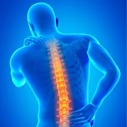 CATEGORY_BACK_PAIN__ZAIKO