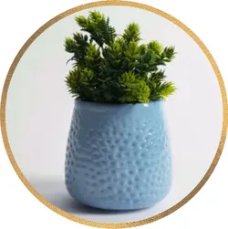 CATEGORY_ARTISANAL_POTS__Greenarium