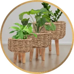 CATEGORY_GARDENING_TOOLS__Greenarium