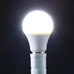 CATEGORY_BULB__Spark world