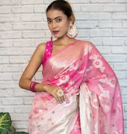 CATEGORY_BANARASI_SAREE__PAITHNI