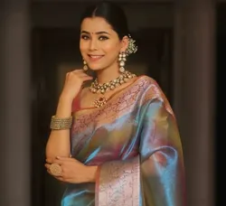 CATEGORY_TISSUE_SILK_SAREE__PAITHNI
