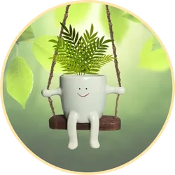 CATEGORY_DECOR_ITEMS__KLIS VENTURES PRIVATE LIMITED