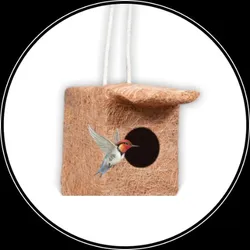 BRAND_CATEGORY_BIRD_NEST__INDIAN GROW