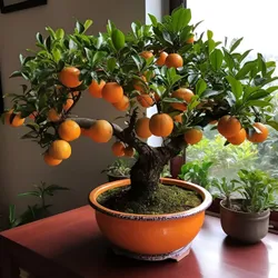 CATEGORY_FRUIT_PLANTS__Plantvilla