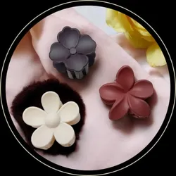 BRAND_CATEGORY_FANCY_CLUTCHERS__SP HAIR ACCESSORIES