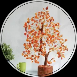 BRAND_CATEGORY_CRYSTAL_TREE__Zuby Crystal
