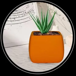 OUR_SPECIALTY__POTS_AND_PLANTERS__Lasaki