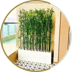 OUR_COLLECTIONS_ARTIFICIAL_PLANTS__Golden Cart