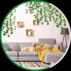 OUR_COLLECTIONS_HANGING__DE GARDENIA