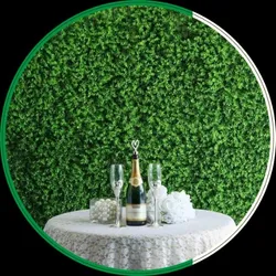 OUR_COLLECTIONS_GREEN_WALL__DE GARDENIA