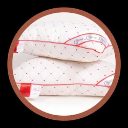 BRAND_CATEGORY_PILLOWS__SAJAWAAT HOME