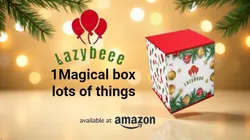 OUR_COLLECTIONS_Christmas_Decoration__Lazybeee