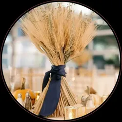 BRAND_CATEGORY_ARTIFICIALS_PLASTIC__Novelty Enterprises