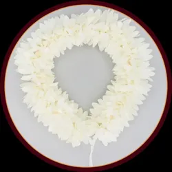 BRAND_CATEGORY_HAIR_ACCESSORIES__Gurram