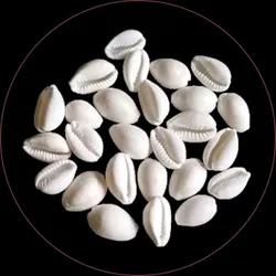OUR_SPECIALTY_BEST_SELLERS__VERAJ GEMS