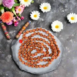 SHOP_BY_CATEGORY_RUDRAKSHA_ITEMS__Spiritual Kingdom