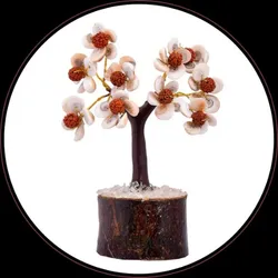 OUR_SPECIALTY_TRENDING__REBUY