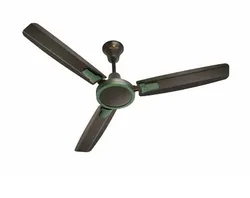 SHOP_BY_CATEGORY_Ceiling_Fans__EXPERT SHOPPERS