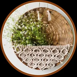 OUR_COLLECTIONS_PLANT_GARDEN_DECOR__Zippy Flora