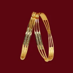 SHOP_BY_CATEGORY_Daily_Wear__Panini Jewels