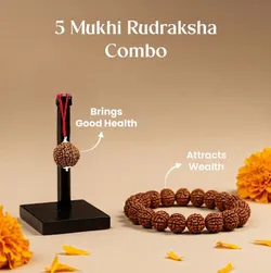 BRAND_CATEGORY_SPIRITUAL_RUDRAKASH___Healing Gems