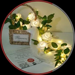 OUR_COLLECTIONS_BEST_SELLERS__Decorcity