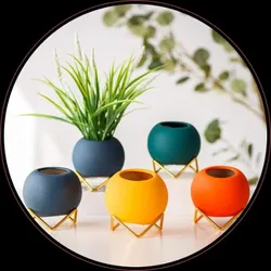 BRAND_CATEGORY_BEST_SELLERS__Euroxo