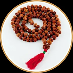 OUR_SPECIALTY__RUDRAKSHA__Astro Help