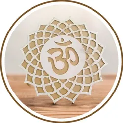 BRAND_CATEGORY_RANGOLI_BASE__Stellx Store