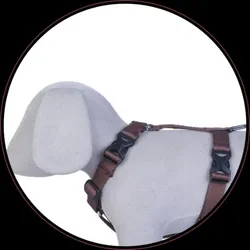 BRAND_CATEGORY_HARNESS__Petslike
