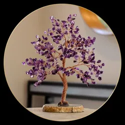 OUR_SPECIALTY_TREE__TOI SHOP