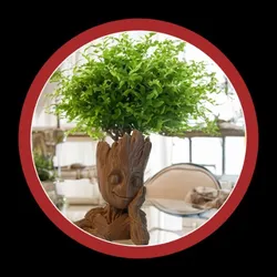 BRAND_CATEGORY_TABLE_TOP___Archadia 