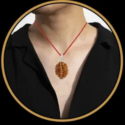 OUR_SPECIALTY_POPULAR_COLLECTION__Divine bliss