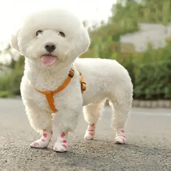 OUR_COLLECTIONS_BEST_SELLERS__DogsMart