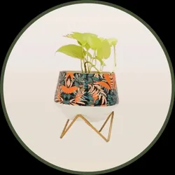 BRAND_CATEGORY_PLANTERS__The Green Hub
